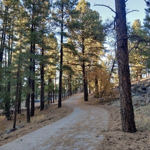 Meet your Posher, Gavin